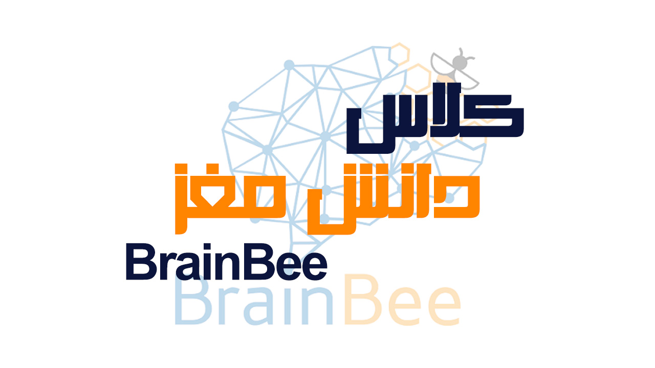 brainbee